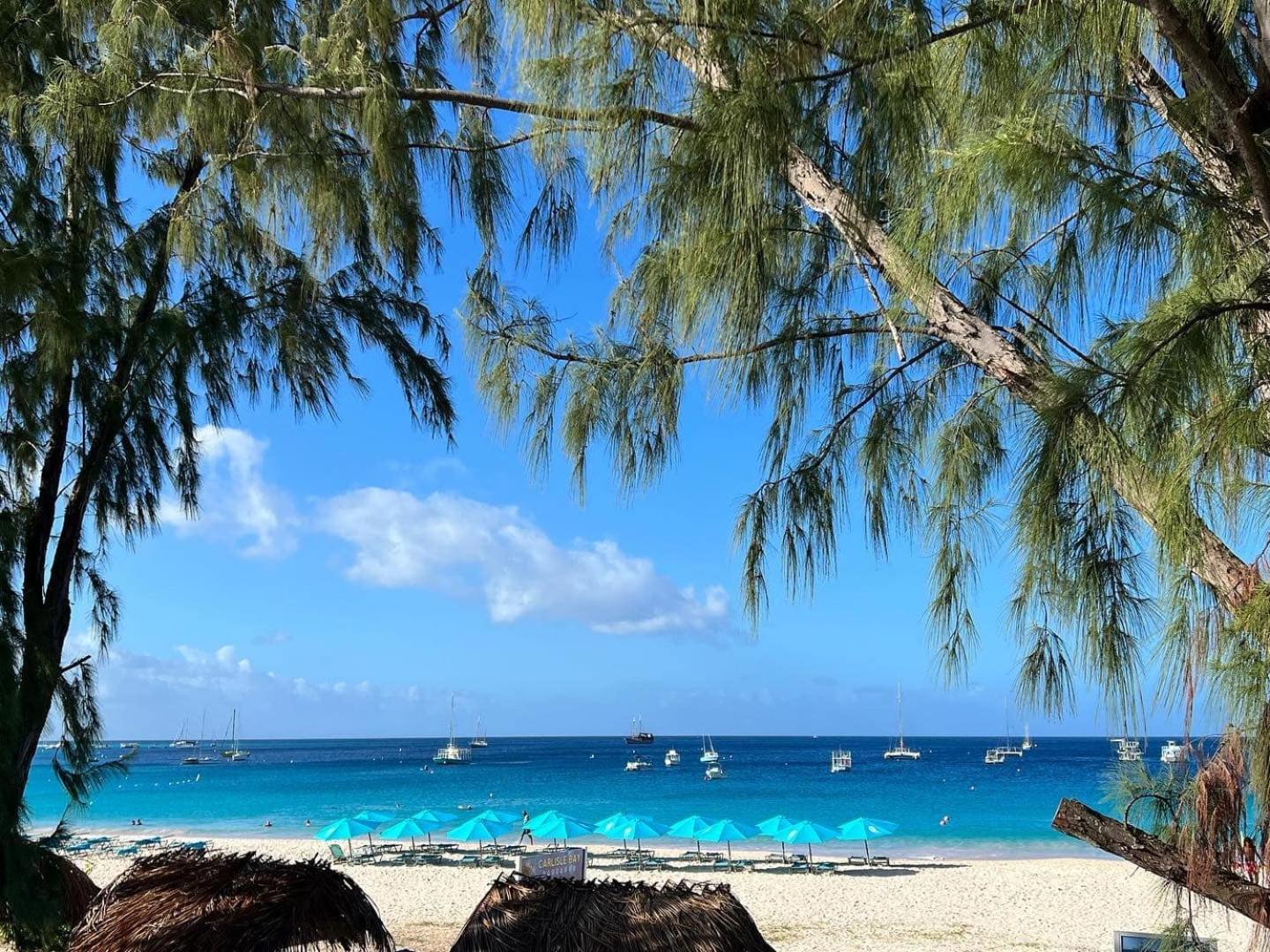 Eden On The Sea Hotell Bridgetown Eksteriør bilde